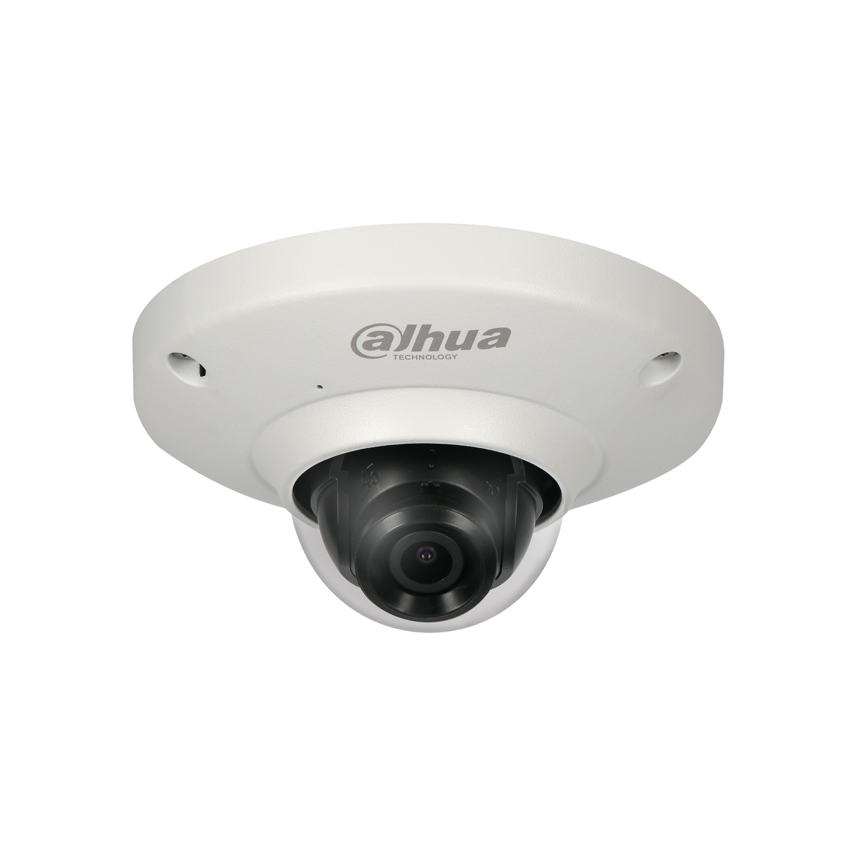 DAHUA IPC-EB5531-M/M12 5MP Panaromic Network  Fisheye Camera